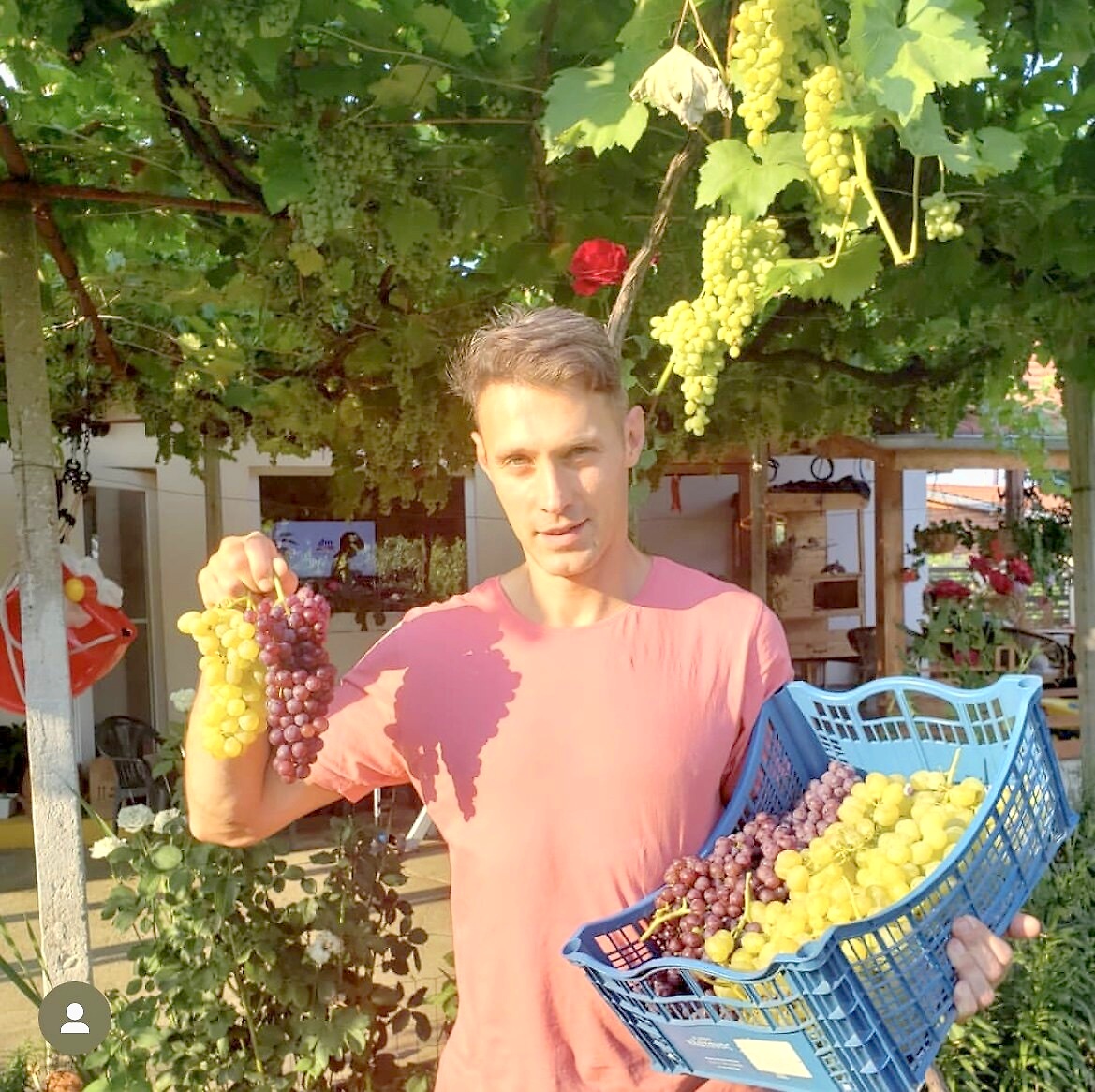 Гроздобер в Pura Vida
