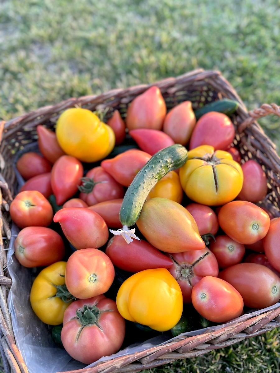 Продукция от фермата